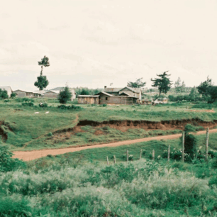 On the Road to Kinale