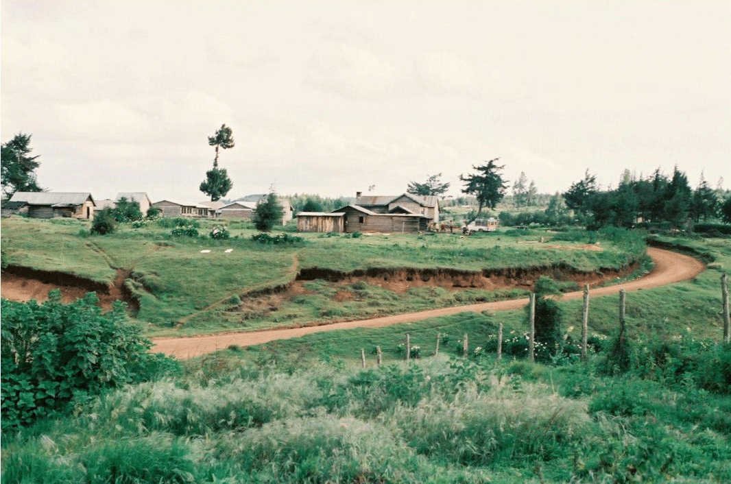 On the Road to Kinale